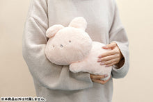 Load image into Gallery viewer, San-x Kumausa Cheer Up Hugging Fluffy Plush