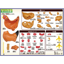 Load image into Gallery viewer, MegaHouse Chicken (Yakitori) Kaitai Puzzle
