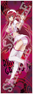 KADOKAWA High School DxD Rias Gremory Nurse Ver 1/7 scale figure SPECIAL SET