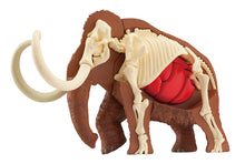 Load image into Gallery viewer, MegaHouse Mammoth Kaitai Puzzle
