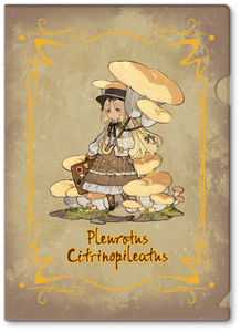 Reverse Studio Mushroom Girls Series No.3 Pleurotus Citrinopileatus 1/1 Scaled Figure [BONUS]