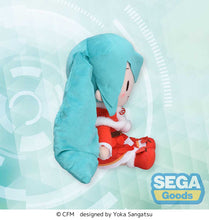 Load image into Gallery viewer, SEGA Fuwa petit Hatsune Miku Christmas 2024 L size plush
