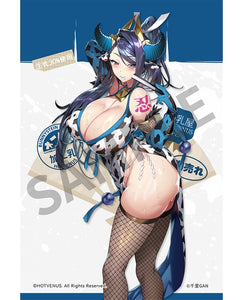 HOTVENUS Bunnystein Fantasy Aurora Kunoichi Outfit Ver. 1/6 scale adult figure Tapestry Set Edition
